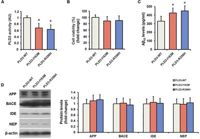 PLD3 Rare Variants Identified in Late-Onset Alzheimer’s Disease Affect Amyloid-β Levels in Cellular Model